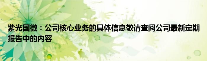 紫光国微：公司核心业务的具体信息敬请查阅公司最新定期报告中的内容