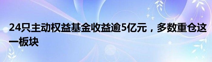 24只主动权益基金收益逾5亿元，多数重仓这一板块