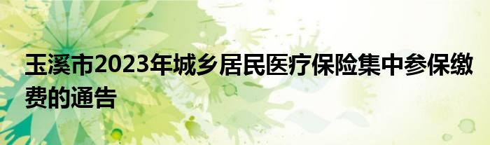 玉溪市2023年城乡居民医疗保险集中参保缴费的通告