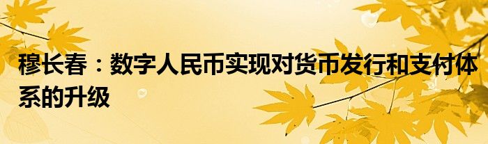 穆长春：数字人民币实现对货币发行和支付体系的升级