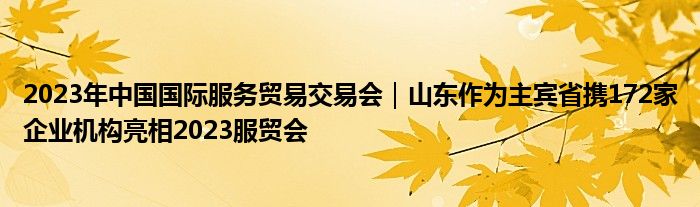 2023年中国国际服务贸易交易会｜山东作为主宾省携172家企业机构亮相2023服贸会