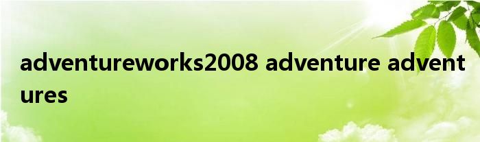 adventureworks2008 adventure adventures