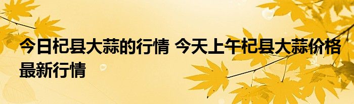 今日杞县大蒜的行情 今天上午杞县大蒜价格最新行情