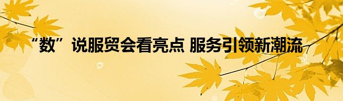 “数”说服贸会看亮点 服务引领新潮流