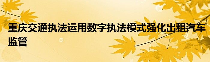 重庆交通执法运用数字执法模式强化出租汽车监管