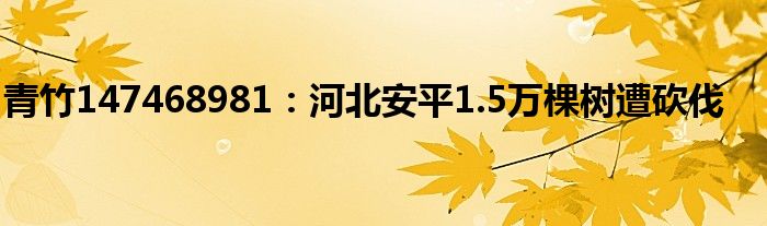 青竹147468981：河北安平1.5万棵树遭砍伐