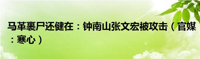 马革裹尸还健在：钟南山张文宏被攻击（官媒：寒心）