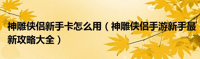 神雕侠侣新手卡怎么用（神雕侠侣手游新手最新攻略大全）