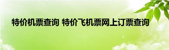 特价机票查询 特价飞机票网上订票查询