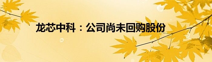 龙芯中科：公司尚未回购股份