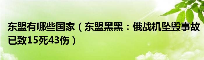 东盟有哪些国家（东盟黑黑：俄战机坠毁事故已致15死43伤）