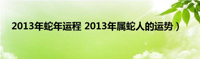 2013年蛇年运程 2013年属蛇人的运势）