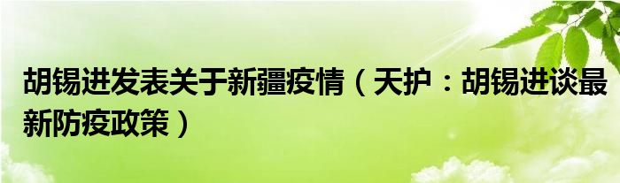 胡锡进发表关于新疆疫情（天护：胡锡进谈最新防疫政策）