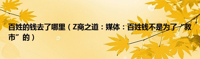 百姓的钱去了哪里（Z商之道：媒体：百姓钱不是为了“救市”的）