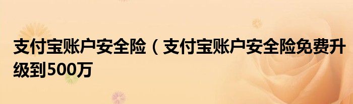 支付宝账户安全险（支付宝账户安全险免费升级到500万