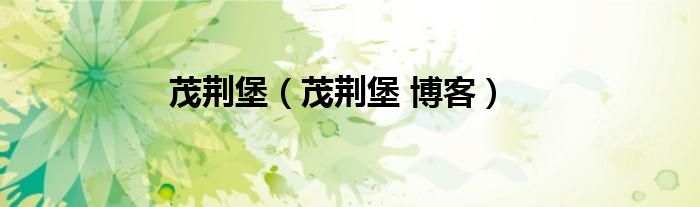 茂荆堡（茂荆堡 博客）