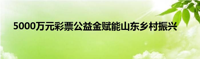 5000万元彩票公益金赋能山东乡村振兴