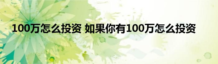 100万怎么投资 如果你有100万怎么投资