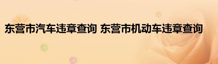 东营市汽车违章查询 东营市机动车违章查询