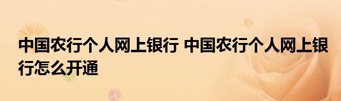 中国农行个人网上银行 中国农行个人网上银行怎么开通