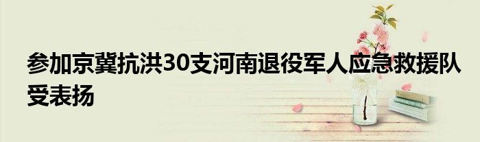 参加京冀抗洪30支河南退役军人应急救援队受表扬