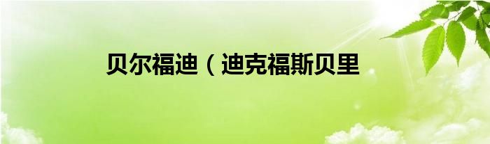 贝尔福迪（迪克福斯贝里