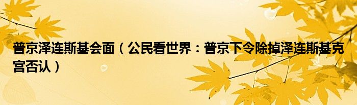 普京泽连斯基会面（公民看世界：普京下令除掉泽连斯基克宫否认）