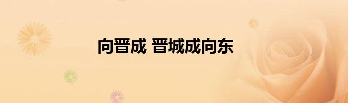 向晋成 晋城成向东