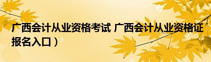 广西会计从业资格考试 广西会计从业资格证报名入口）