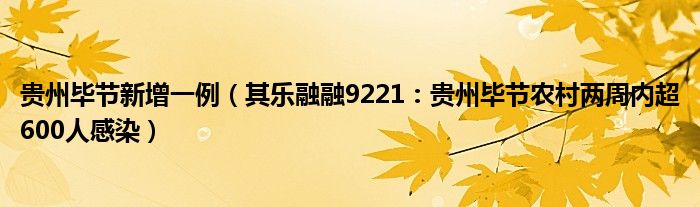 贵州毕节新增一例（其乐融融9221：贵州毕节农村两周内超600人感染）