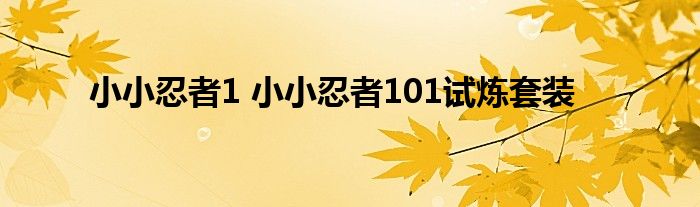 小小忍者1 小小忍者101试炼套装
