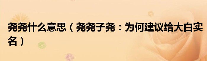 尧尧什么意思（尧尧子尧：为何建议给大白实名）