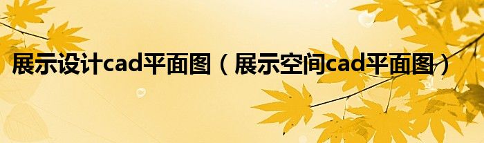 展示设计cad平面图（展示空间cad平面图）