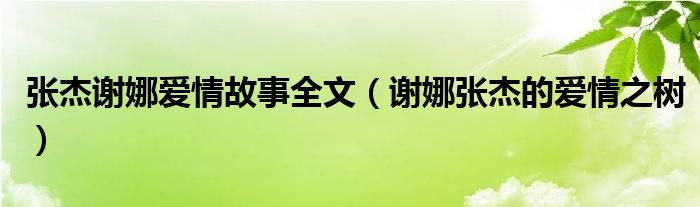 张杰谢娜爱情故事全文（谢娜张杰的爱情之树）