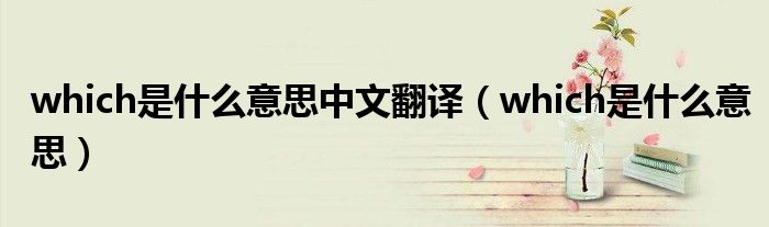 which是什么意思中文翻译（which是什么意思）