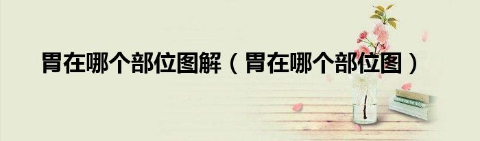 胃在哪个部位图解（胃在哪个部位图）