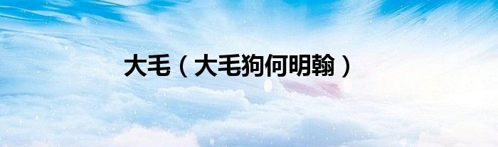 大毛（大毛狗何明翰）
