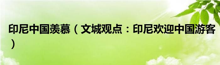 印尼中国羡慕（文城观点：印尼欢迎中国游客）