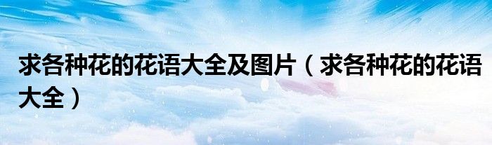 求各种花的花语大全及图片（求各种花的花语大全）