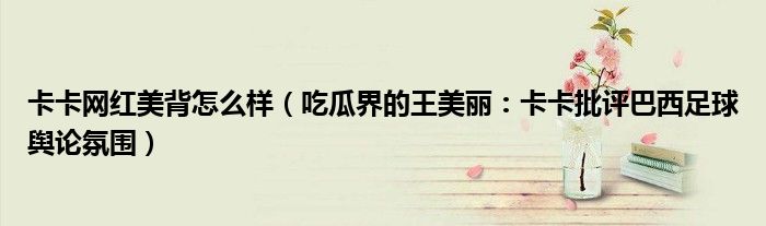 卡卡网红美背怎么样（吃瓜界的王美丽：卡卡批评巴西足球舆论氛围）