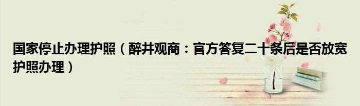 国家停止办理护照（醉井观商：官方答复二十条后是否放宽护照办理）