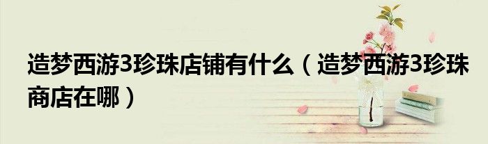 造梦西游3珍珠店铺有什么（造梦西游3珍珠商店在哪）
