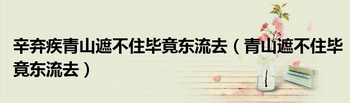 辛弃疾青山遮不住毕竟东流去（青山遮不住毕竟东流去）