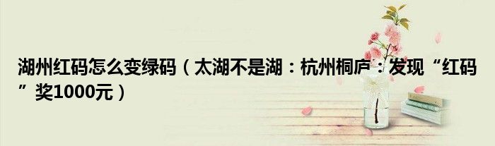 湖州红码怎么变绿码（太湖不是湖：杭州桐庐：发现“红码”奖1000元）