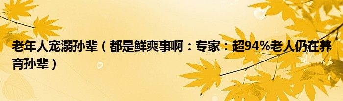 老年人宠溺孙辈（都是鲜爽事啊：专家：超94%老人仍在养育孙辈）