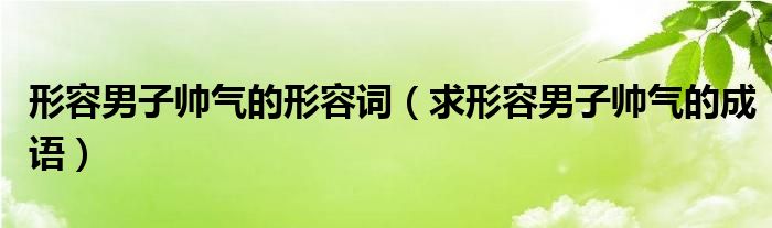 形容男子帅气的形容词（求形容男子帅气的成语）