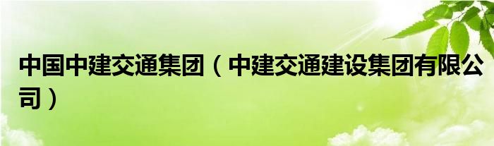 中国中建交通集团（中建交通建设集团有限公司）