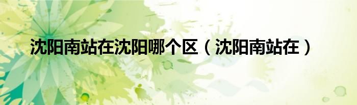 沈阳南站在沈阳哪个区（沈阳南站在）