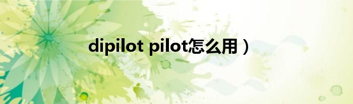 dipilot pilot怎么用）