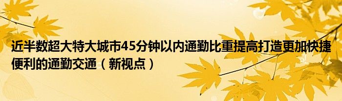 近半数超大特大城市45分钟以内通勤比重提高打造更加快捷便利的通勤交通（新视点）